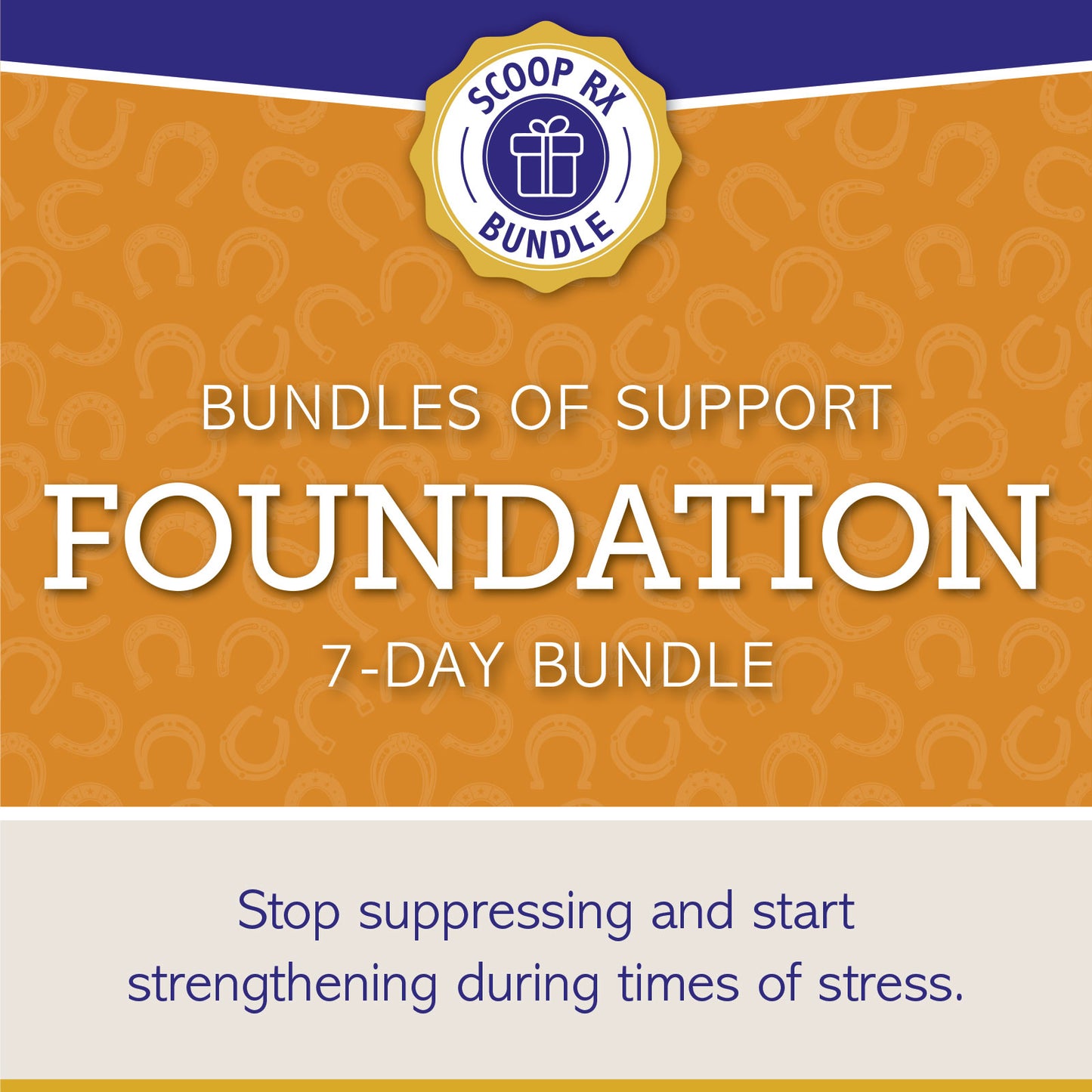 Bundles of Support: FOUNDATION