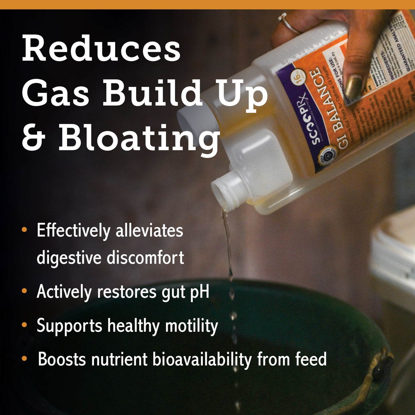 GI BALANCE - Liquid