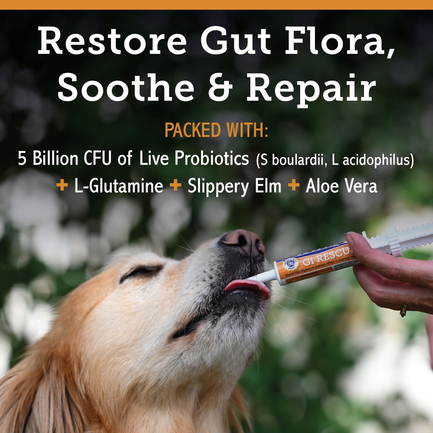 GI RESCUE - Paste (Single Tube)