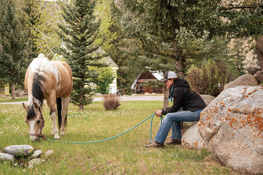 Horse Gut Health: Removing the Limits You Can't See