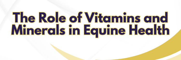 The Role of Vitamins and Minerals in Equine Health