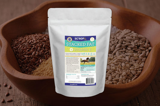 Stacked Fat + E: The Power Combo for Equine Health and Performance
