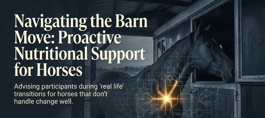 Navigating the Barn Move: Proactive Nutritional Support for Horses