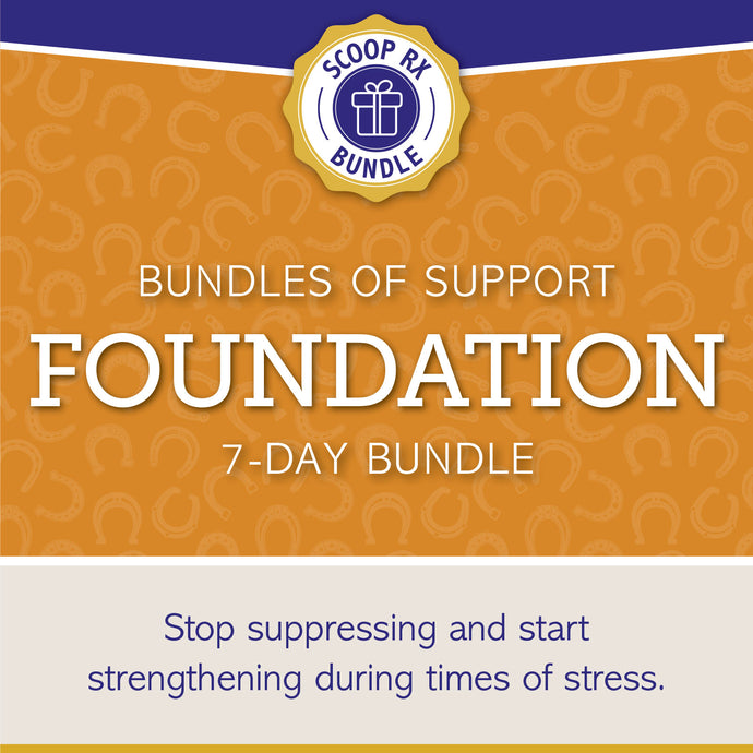 Bundles of Support: FOUNDATION