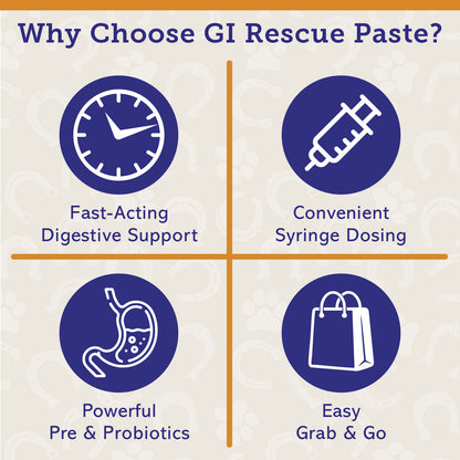 GI RESCUE - Paste (Single Tube)