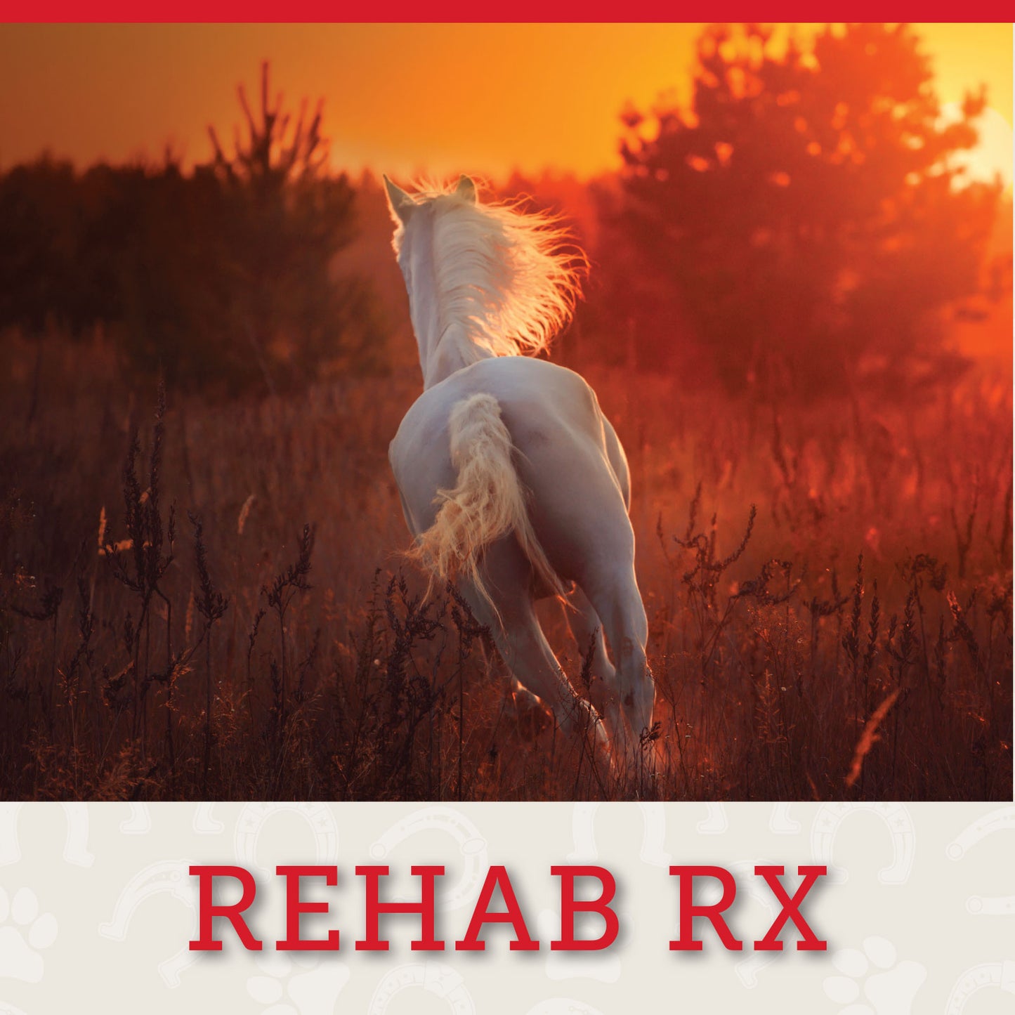 REHAB RX