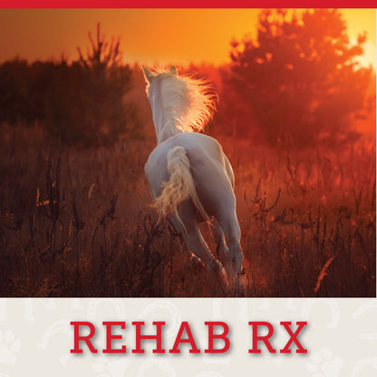 REHAB RX