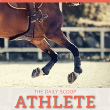 Load image into Gallery viewer, The Daily Scoop: ATHLETE

